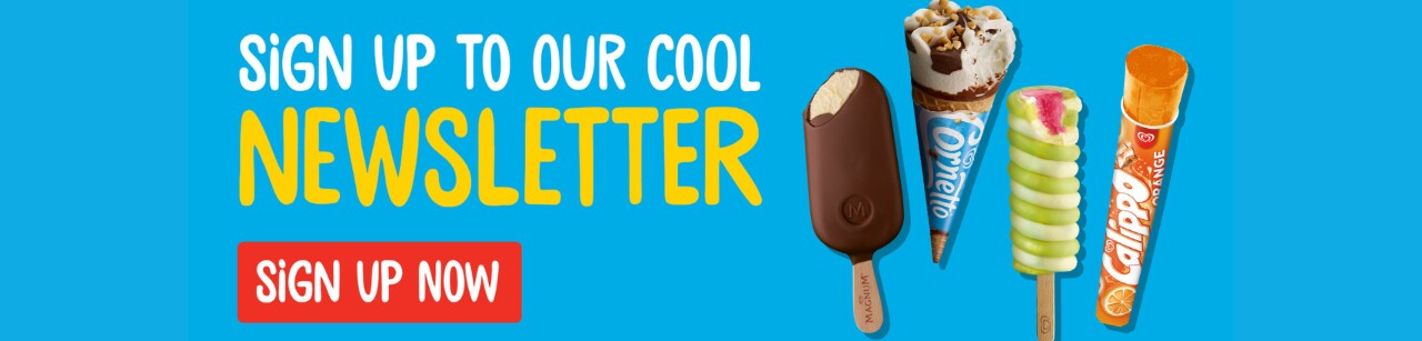 newsletter signup