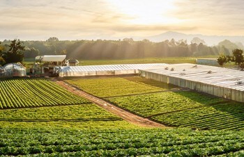 Going Greener and Being Clear About It