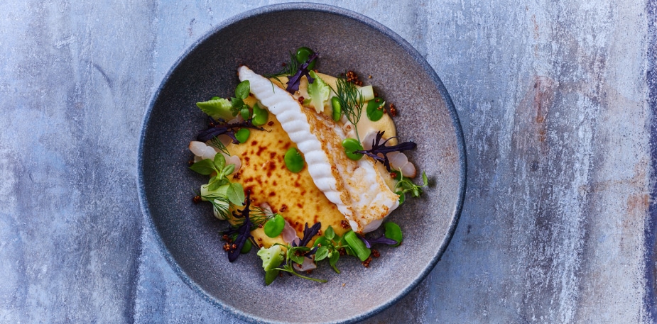 Plating inspiration and trends