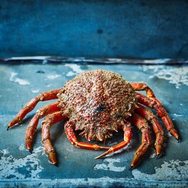 Crab