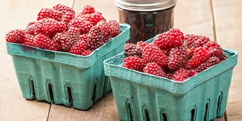Baskets of fresh Tayberries and jars of homemade jam or jelly