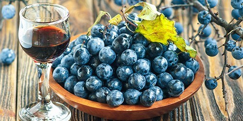 Sloes image