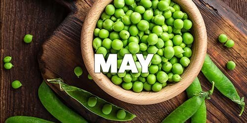 May Season