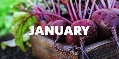 January Season