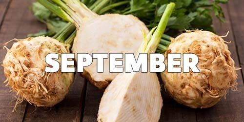 September Season