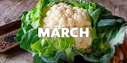 March Season