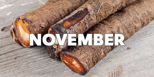 November Season