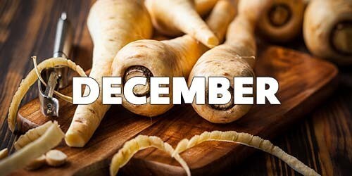 December Season