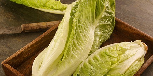 fresh salad leaves