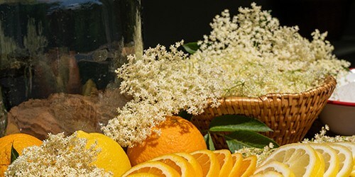 On a cutting board lies a kitchen knife and a sliced organic lemon and organic orange, in the background are other ingredients.