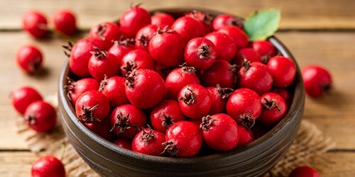 Crataegus or hawthorn berries in ceramic bowl on rustic wooden background. Selective focus.