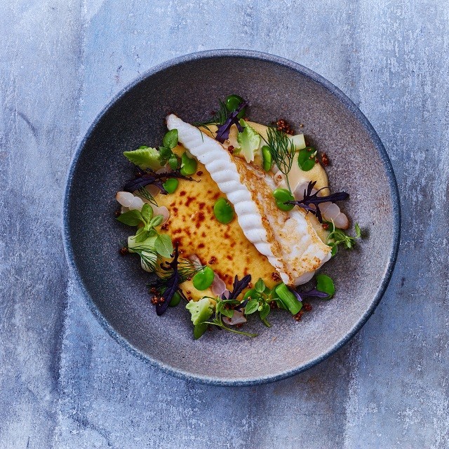 Plating inspiration and trends