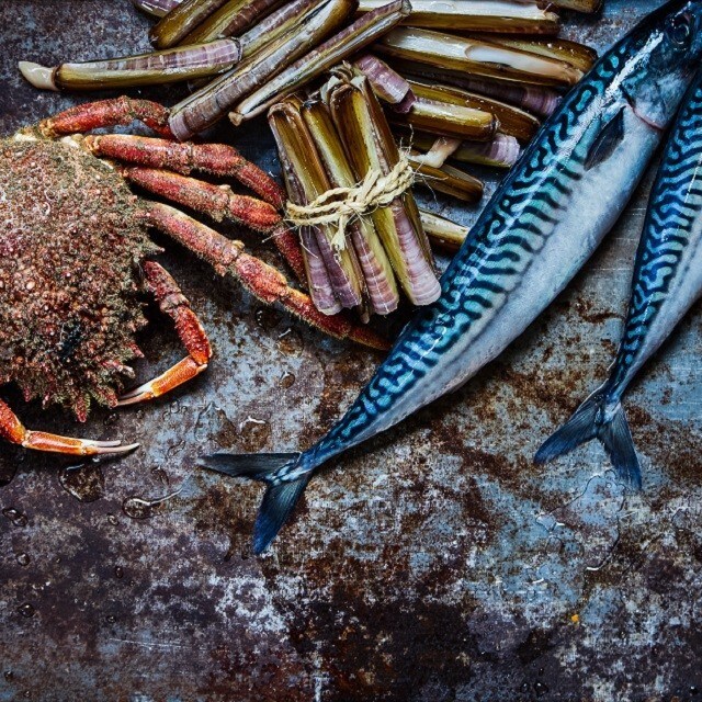 Trending fish Trending fish