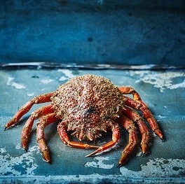 Crab Crab