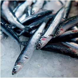 Anchovies Anchovies