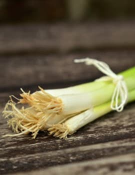 Spring Onions Spring Onions