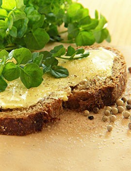 Watercress Watercress