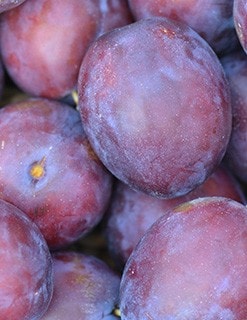 Plums Plums