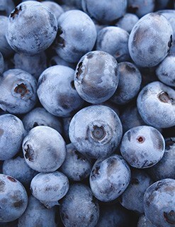 Blueberries Blueberries