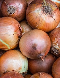 Onions Onions