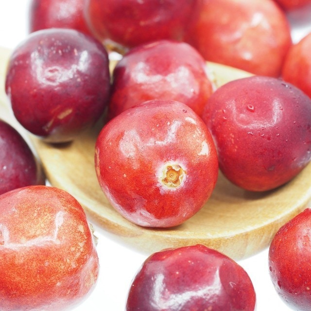 Seasonality - December