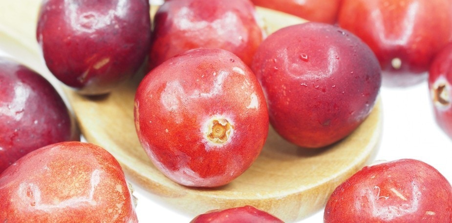 Seasonality - December