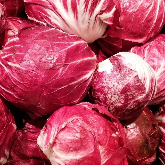 Seasonality - February