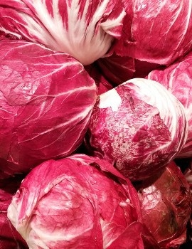 Radicchio Radicchio