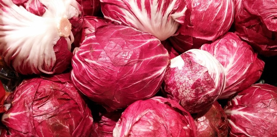 Seasonality - February