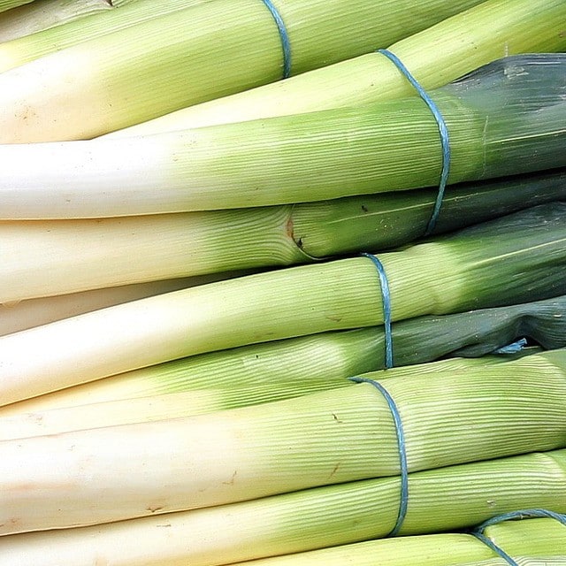 Leek Leek