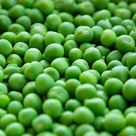 Peas Peas