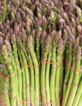 Asparagus Asparagus