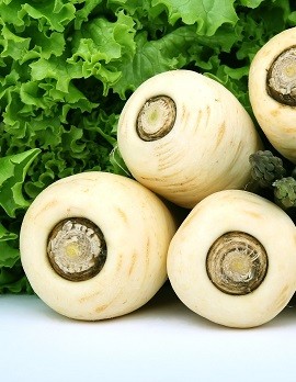 Parsnips Parsnips