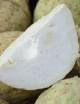 Celeriac Celeriac