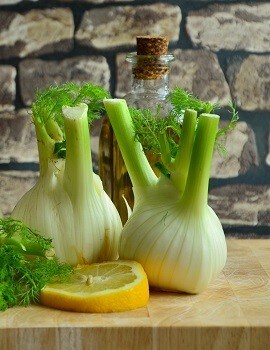 Fennel Fennel