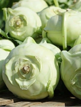 Kohlrabi Kohlrabi