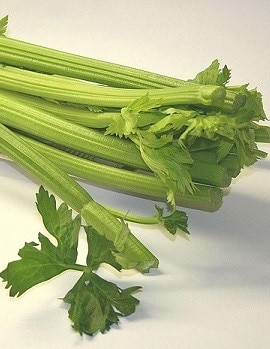 Celeriac Celeriac