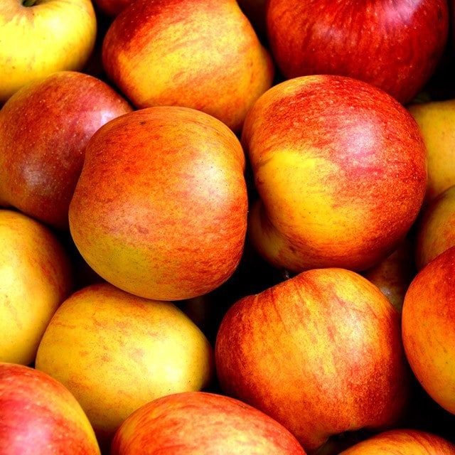 Seasonality - September