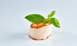 7. Scallops and sweet basil 7. Scallops and sweet basil