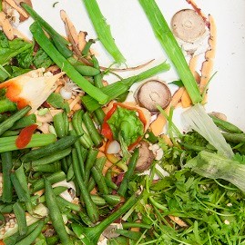 1. Vegetable scraps 1. Vegetable scraps