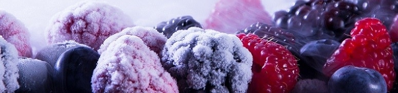 frozen frozen