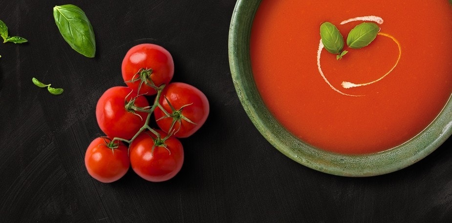 Knorr Professional Soup Recipe Book