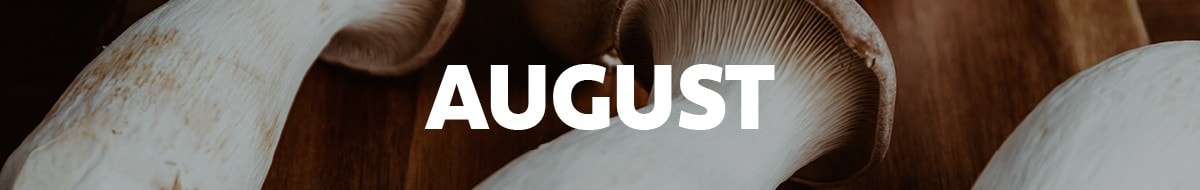 august image august image