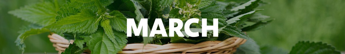 March image March image