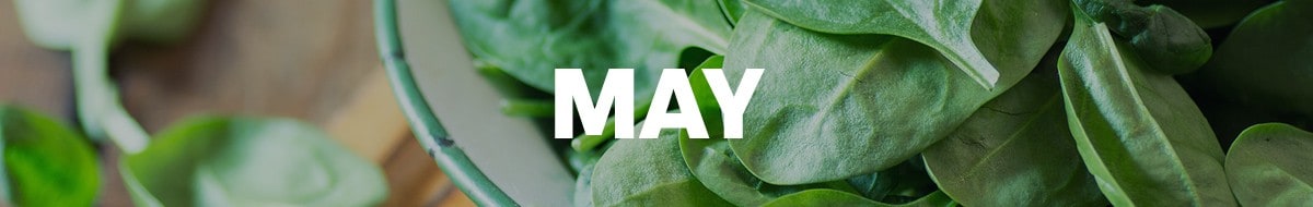 may image may image