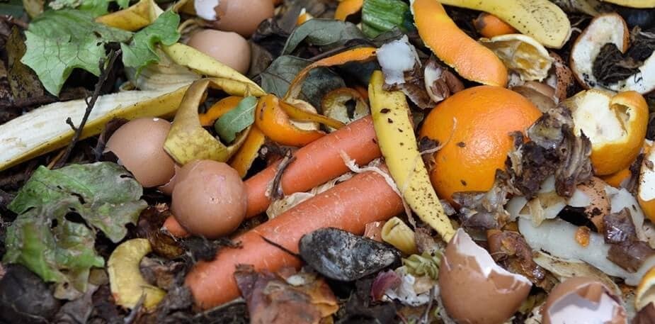 Waste Management Waste Management