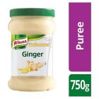 KNORR Professional Ginger Puree 750g